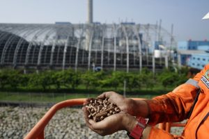 PLTU PLN Grup Sukses Tekan Emisi dengan Co-Firing