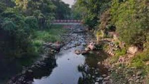 Pemkab Bogor Sebaiknya Bangun Turap di Bantaran Sungai Ciliwung