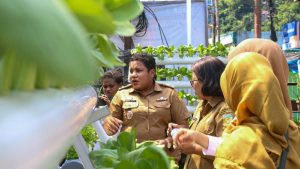 Kisah BRInita di Jayapura: Urban Farming Jadi Gaya Baru Bertani di Lahan Sempit Kisah BRInita di Jayapura: Urban Farming Jadi Gaya Baru Bertani di Lahan Sempit