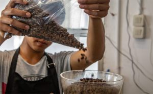 BRI KlasterkuHidupku Bawa Kopi Ini Jangkau Pasar Lebih Luas