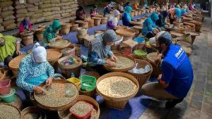 BRI Optimistis Salurkan KUR 2024 Rp165 Triliun