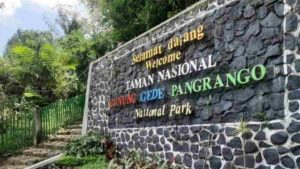 Mau Ziarah ke Petilasan, 13 Orang Hilang di Gunung Gede Pangrango