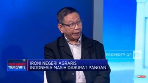 Impor Beras Meningkat 613,61%, Timnas AMIN Nilai Presiden Jokowi Gagal