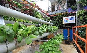 Menyusuri Kampung Palm Eco Green Village Malang, Makin Asri Berkat Program BRInita