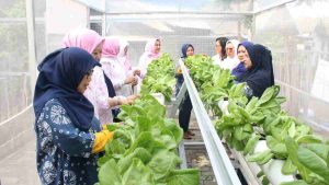 Lewat BRInita, Kampung Hijau Kemuning Tangerang Sulap Lahan Sempit Jadi Makin Produktif