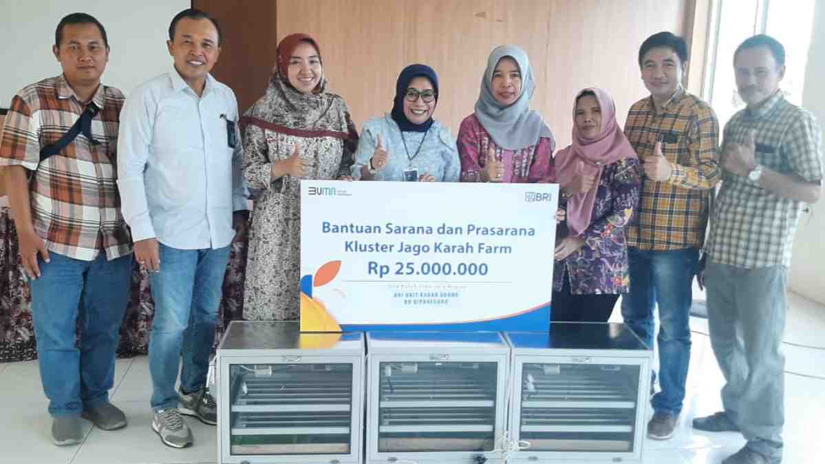 Program Pemberdayaan BRI Bikin Peternakan Ayam di Surabaya Ini Berkembang dan Bisa Bantu Banyak Orang