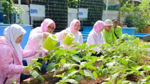 Wanita Tangguh Berkarya lewat Program BRI Peduli BRInita