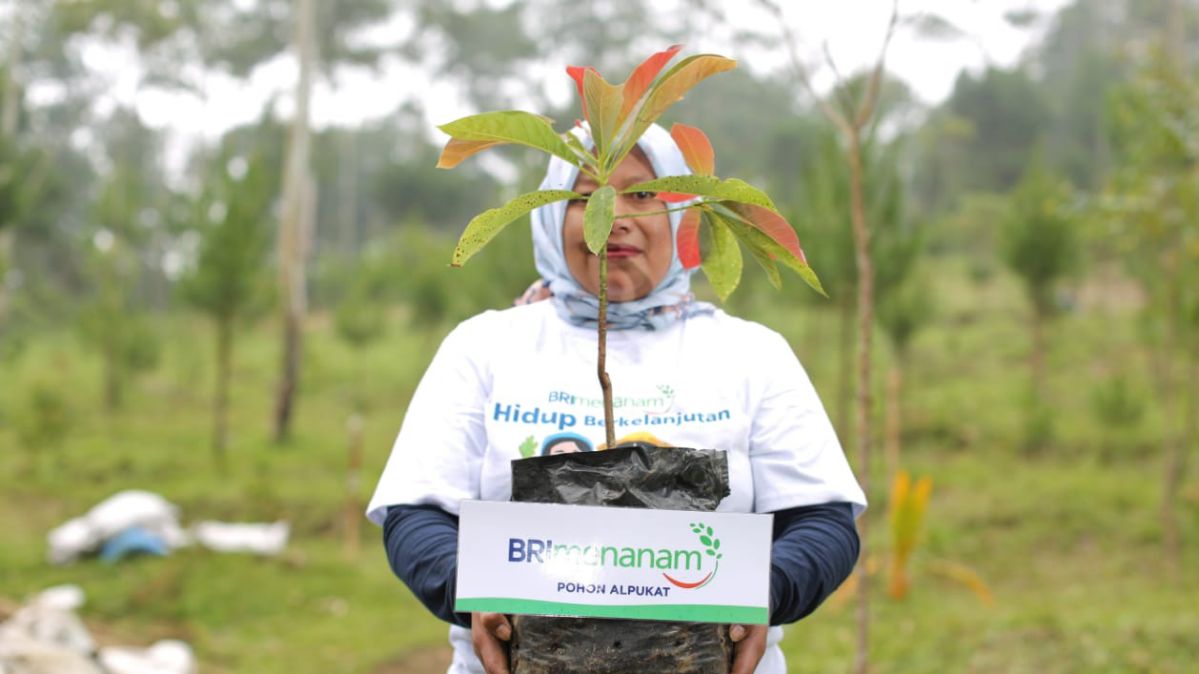 Fokus Jalankan Praktik Bisnis Berkelanjutan, BRI Masuk Dalam Daftar CNBC Indonesia Green Business Ratings 2024 