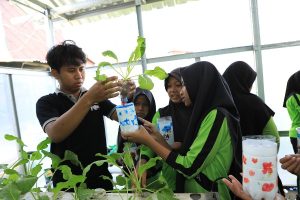 BRI hari anak Peringati Hari Anak Nasional, Ini Cara Unik BRI Ajak Anak SD Belajar Tanam Hidroponik