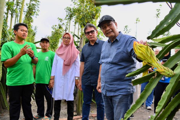 SesKemenKopUKM: Petani Banyuwangi Saatnya Lakukan Hilirisasi Produk Pertanian