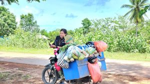 IMG-20250120-WA0003 Kisah Petani di Merauke yang Produktivitasnya Semakin Meningkat Berkat Program Pemberdayaan Klaster Usaha dari BRI