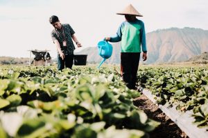 Ramah Lingkungan dan Berdampak Sosial, Ini Komitmen Nyata BRI Terapkan Prinsip ESG untuk Bisnis Berkelanjutan