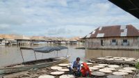 Dorong Sektor Produksi Bergeliat, BRI Salurkan KUR Rp69,8 triliun ke 8,3 Juta Debitur UMKM
